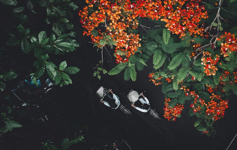 Coffee beans